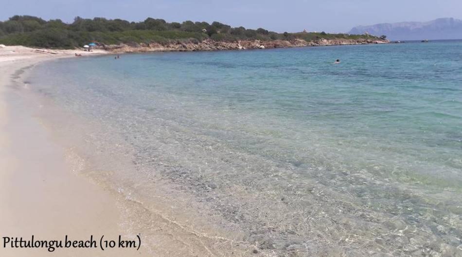 Marina Seaview Lejlighed Olbia Eksteriør billede